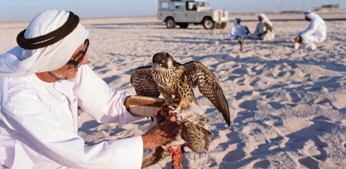 A person holding an eagle in his hands in desert. 